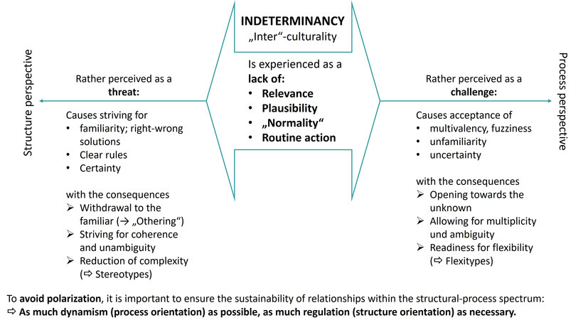 Figure: Structural processual perspective on the experience of indeterminacy