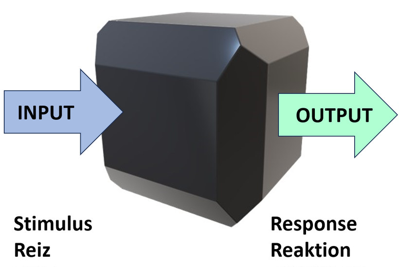 Abbildung: Black-Box-Modell der Psychologie