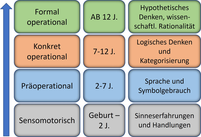 Abbildung: Stadien der kognitiven Entwicklung