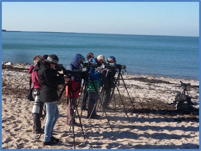 Photo: Ornithologists on the isle of Helgoland