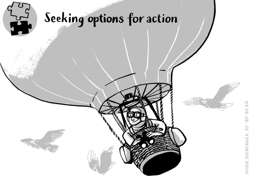 Figure: Seeking Options for Action